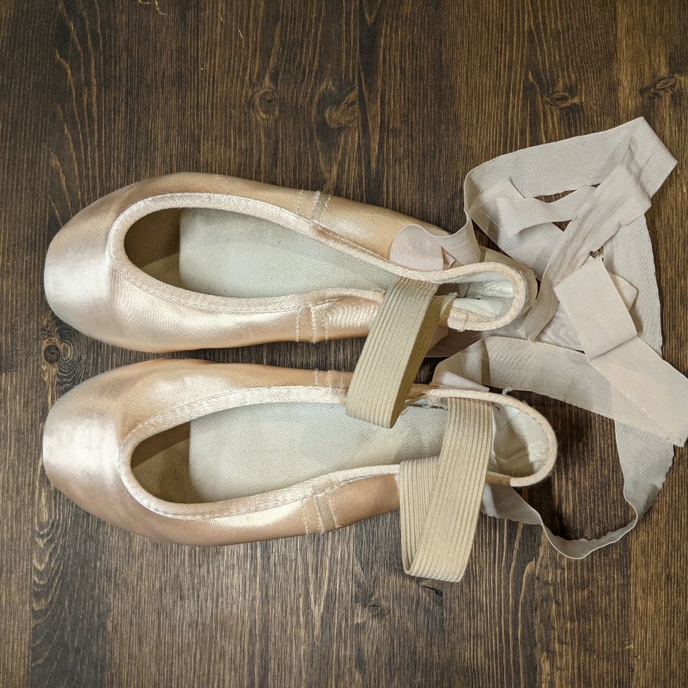 Gaynor Minden pointe shoes